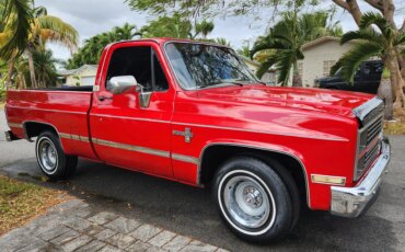 Chevrolet-Ck-truck-2wd-regular-cab-1500-1982-Red-Tan