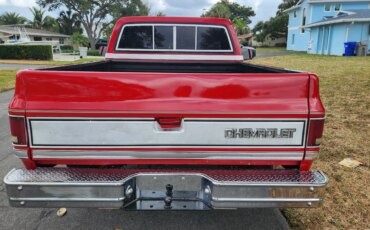 Chevrolet-Ck-truck-2wd-regular-cab-1500-1982-Red-Tan-6
