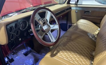 Chevrolet-Ck-truck-2wd-regular-cab-1500-1986-Red-Tan-10