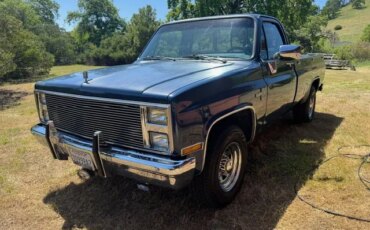 Chevrolet-Ck-truck-2wd-regular-cab-2500-1987-Blue-Blue-10