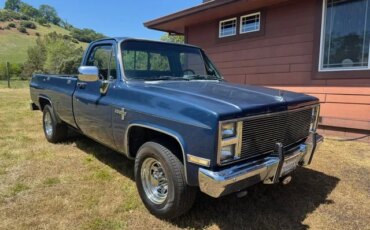 Chevrolet-Ck-truck-2wd-regular-cab-2500-1987-Blue-Blue-11