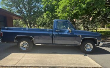 Chevrolet-Ck-truck-2wd-regular-cab-2500-1987-Blue-Blue-2