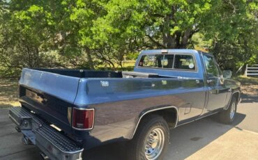 Chevrolet-Ck-truck-2wd-regular-cab-2500-1987-Blue-Blue-9