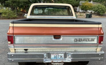 Chevrolet-Ck-truck-2wd-regular-cab-3500-1985-Brown-Tan-1