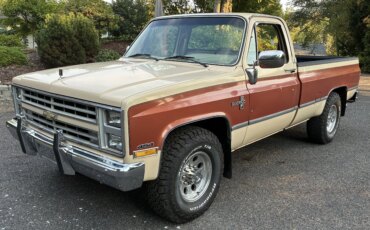 Chevrolet-Ck-truck-2wd-regular-cab-3500-1985-Brown-Tan