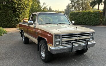 Chevrolet-Ck-truck-2wd-regular-cab-3500-1985-Brown-Tan-4