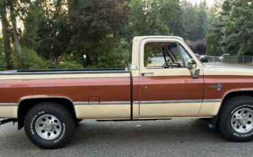 Chevrolet-Ck-truck-2wd-regular-cab-3500-1985-Brown-Tan-5