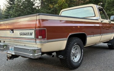 Chevrolet-Ck-truck-2wd-regular-cab-3500-1985-Brown-Tan-8