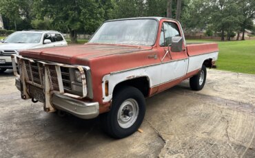 Chevrolet-Ck-truck-4x4-regular-cab-1500-1980-1