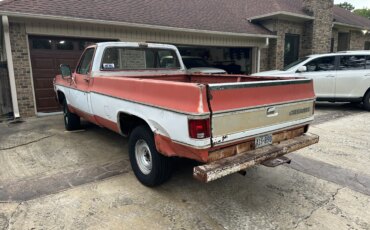 Chevrolet-Ck-truck-4x4-regular-cab-1500-1980-2