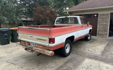 Chevrolet-Ck-truck-4x4-regular-cab-1500-1980-3