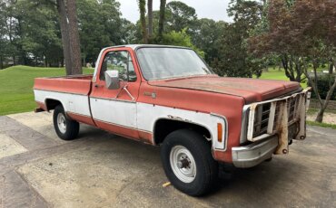 Chevrolet-Ck-truck-4x4-regular-cab-1500-1980
