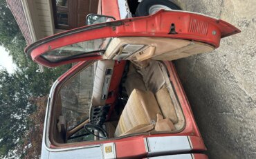 Chevrolet-Ck-truck-4x4-regular-cab-1500-1980-4