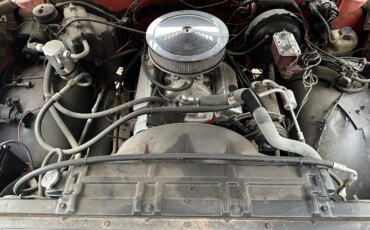 Chevrolet-Ck-truck-4x4-regular-cab-1500-1980-6