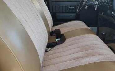 Chevrolet-Ck-truck-4x4-regular-cab-1500-1981-Custom-Custom-15