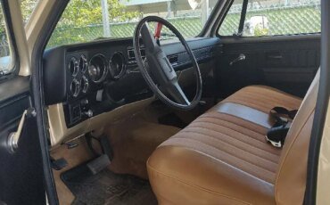 Chevrolet-Ck-truck-4x4-regular-cab-1500-1981-Custom-Custom-6