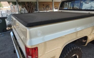 Chevrolet-Ck-truck-4x4-regular-cab-1500-1981-Custom-Custom-9
