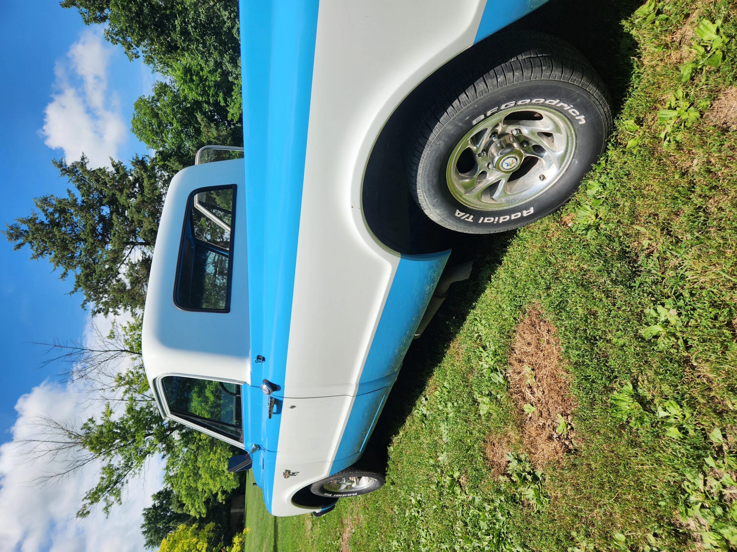 Chevrolet-Ck-truck-c10-1967-Blue-10