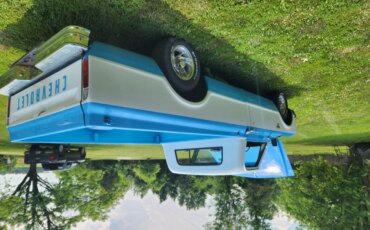 Chevrolet-Ck-truck-c10-1967-Blue-14