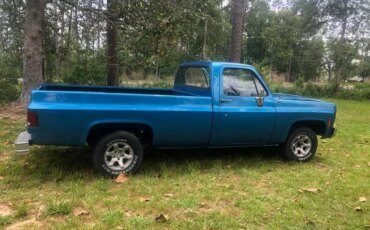 Chevrolet-Ck-truck-c10-1973-Blue-Black-10