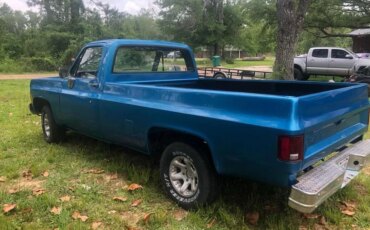 Chevrolet-Ck-truck-c10-1973-Blue-Black-17