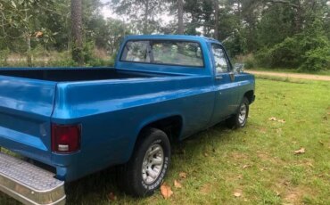 Chevrolet-Ck-truck-c10-1973-Blue-Black-6