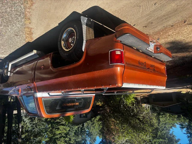 Chevrolet-Ck-truck-c10-1978-Brown-Brown-1