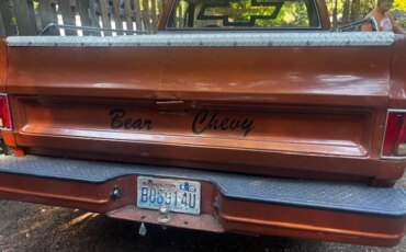 Chevrolet-Ck-truck-c10-1978-Brown-Brown-3