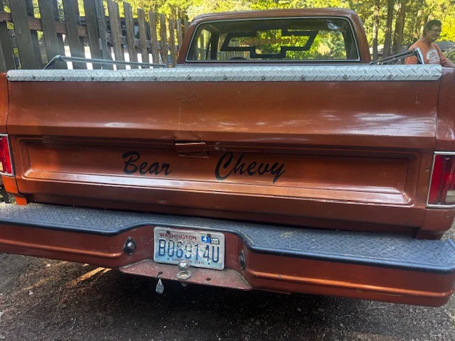 Chevrolet-Ck-truck-c10-1978-Brown-Brown-3
