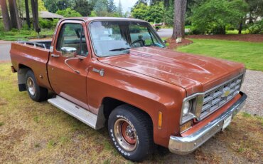 Chevrolet-Ck-truck-c10-1978-Brown-Brown