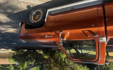 Chevrolet-Ck-truck-c10-1978-Brown-Brown-5