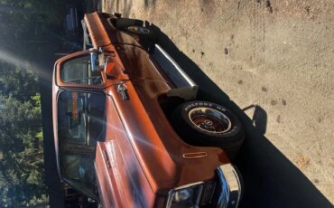Chevrolet-Ck-truck-c10-1978-Brown-Brown-6