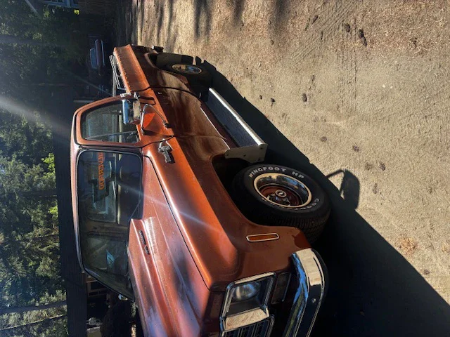 Chevrolet-Ck-truck-c10-1978-Brown-Brown-6