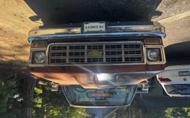 Chevrolet-Ck-truck-c10-1978-Brown-Brown-7
