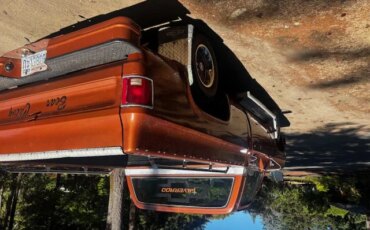 Chevrolet-Ck-truck-c10-1978-Brown-Brown-8