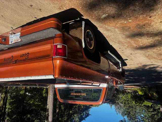 Chevrolet-Ck-truck-c10-1978-Brown-Brown-8