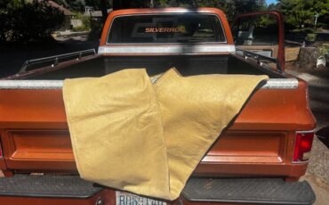 Chevrolet-Ck-truck-c10-1978-Brown-Brown-9