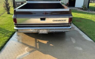 Chevrolet-Ck-truck-c10-1978-Brown-Tan-2