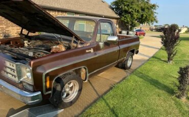 Chevrolet-Ck-truck-c10-1978-Brown-Tan