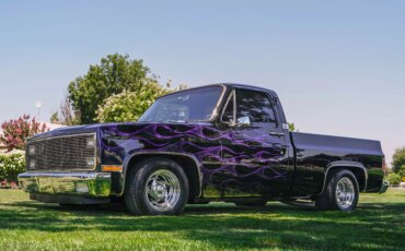 Chevrolet-Ck-truck-c10-1981-Black-1