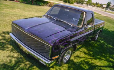 Chevrolet-Ck-truck-c10-1981-Black-11