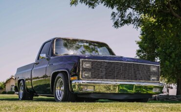 Chevrolet-Ck-truck-c10-1981-Black-18
