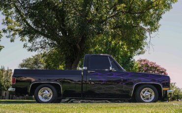 Chevrolet-Ck-truck-c10-1981-Black-25