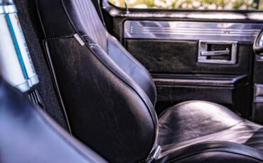 Chevrolet-Ck-truck-c10-1981-Black-5