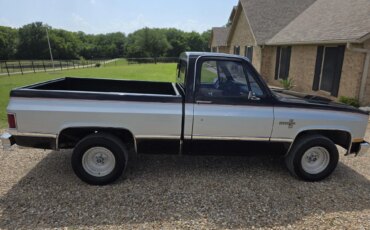 Chevrolet-Ck-truck-c10-1983-Silver-Black-2