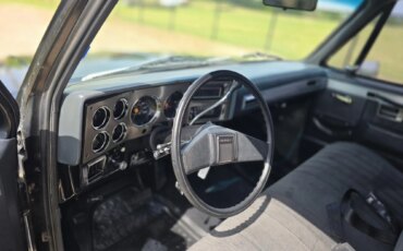 Chevrolet-Ck-truck-c10-1983-Silver-Black-3