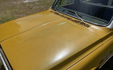 Chevrolet-Ck-truck-c20-1972-Gold-Gold-10