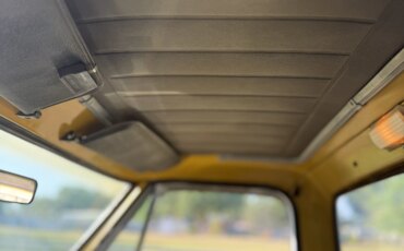 Chevrolet-Ck-truck-c20-1972-Gold-Gold-17