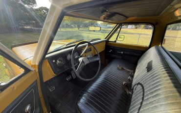 Chevrolet-Ck-truck-c20-1972-Gold-Gold-3
