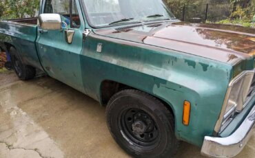 Chevrolet-Ck-truck-c20-1979-Green-Green-3
